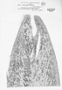 Cercospora thaliae image